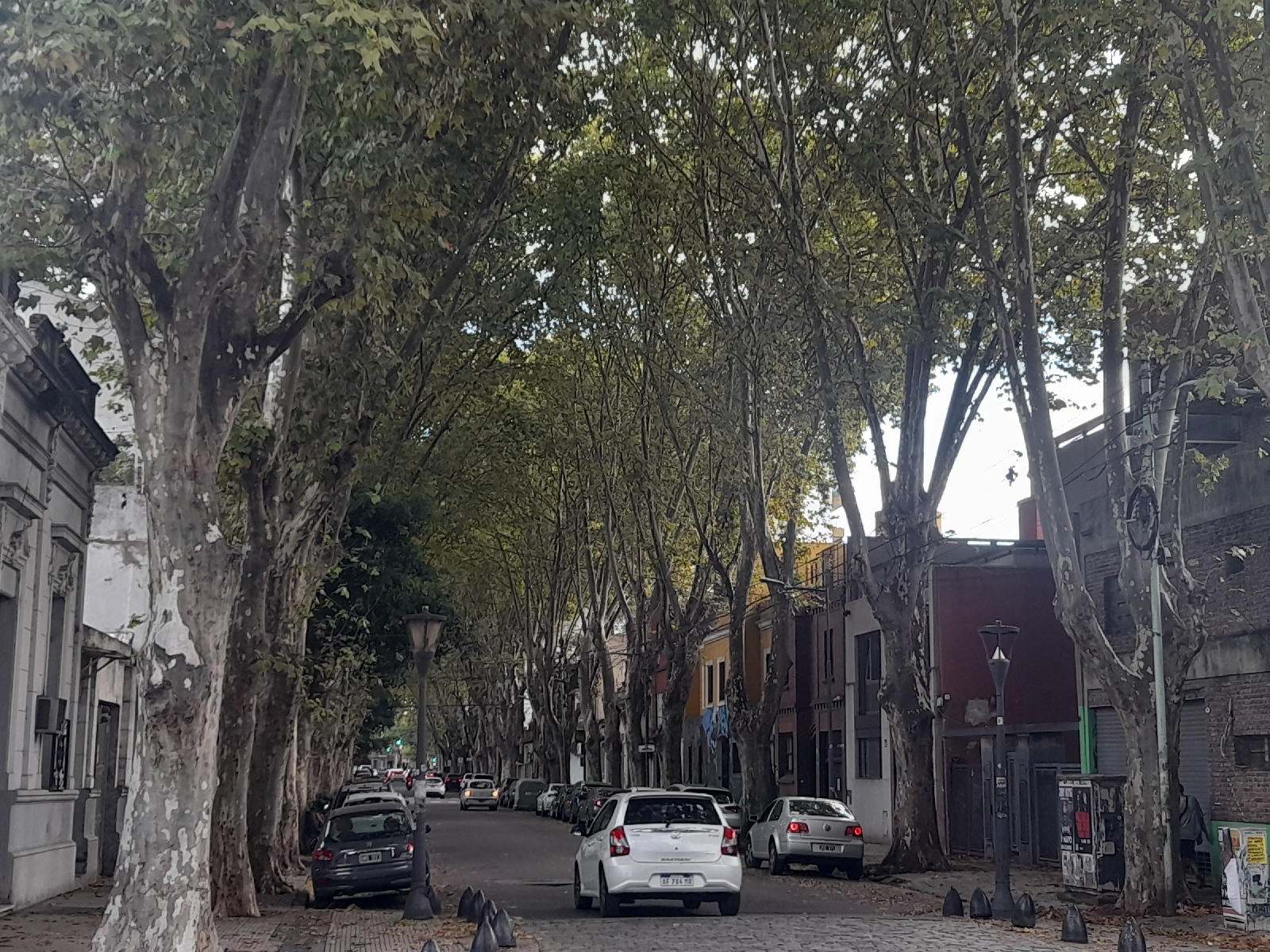 Innovador proyecto de la UBA para combatir el dengue en la ciudad - Image 1