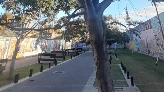 Vecinos de Palermo reclaman al GCBA prudencia y criterio en la poda de árboles